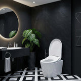 Intelligent Electric Remote Control Toilet Cover Seat with Instant Water Heating and Air Dryer for toilet