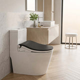 Smart Heated Bidet Seat with Built-in Speaker for D Shape / Round Shape Toilets 500x365/390x108mm - Variant Colour