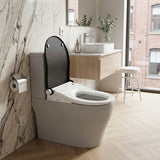 Smart Heated Bidet Seat with Built-in Speaker for D Shape / Round Shape Toilets 500x365/390x108mm - Variant Colour