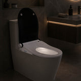 Smart Heated Bidet Seat with Built-in Speaker for D Shape / Round Shape Toilets 500x365/390x108mm - Variant Colour