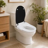 Smart Heated Bidet Seat with Built-in Speaker for D Shape / Round Shape Toilets 500x365/390x108mm - Variant Colour