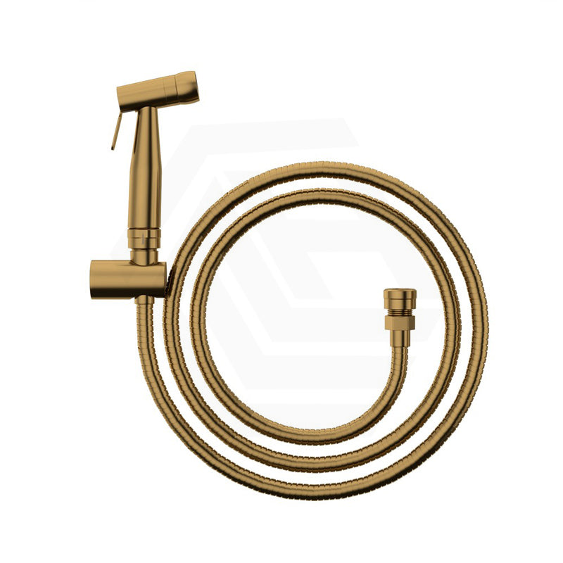 Linkware Round Trigger Spray with Anti-Burst Hose/Dual Check Valve 1.2m Hose - Variant Colour Available