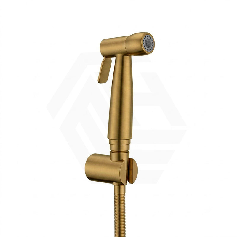 Linkware Round Trigger Spray with Anti-Burst Hose/Dual Check Valve 1.2m Hose - Variant Colour Available
