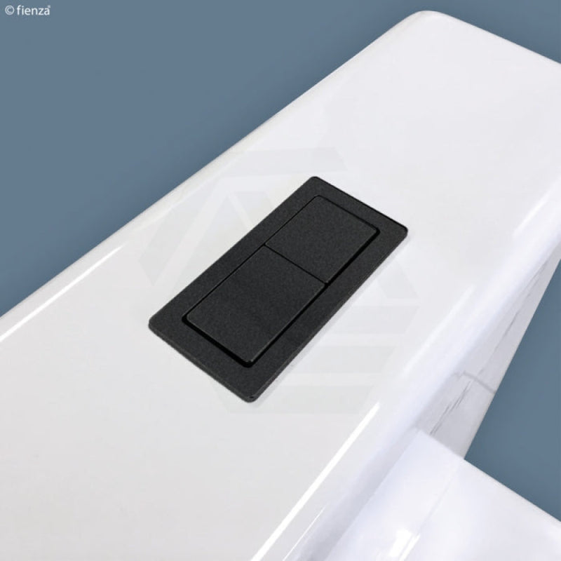 Matt Black Fienza Rectangular Toilet Flush Button Plate for Back To Wall Toilet Suite