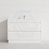 2-Drawer 600/750/900/1200mm Freestanding Bathroom Vanity Kickboard Single Multi-Colour Cabinet Only
