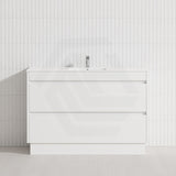 2-Drawer 600/750/900/1200mm Freestanding Bathroom Vanity Kickboard Single Multi-Colour Cabinet Only