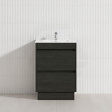 2-Drawer 600/750/900/1200mm Freestanding Bathroom Vanity Kickboard Single Multi-Colour Cabinet Only