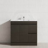 2-Drawer 2-Door Narrow 900mm Freestanding Bathroom Vanity Kickboard Multi-Colour Cabinet Only