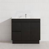 2-Drawer 2-Door Narrow 900mm Freestanding Bathroom Vanity Kickboard Multi-Colour Cabinet Only