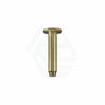 G#2(Gold) Meir Round Ceiling Shower Arm Pvd Tiger Bronze Solid Brass Brushed Gold Arms