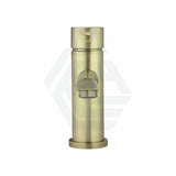 G#2(Gold) Meir Round Short Basin Mixer Pvd Tiger Bronze Mixers