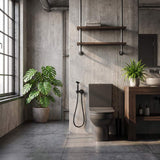 Meir Solid Stainless Steel Bidet Spray with Mixer In-wall Body Included - Various Colours