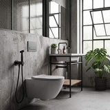 Meir Solid Stainless Steel Bidet Spray with Mixer In-wall Body Included - Various Colours