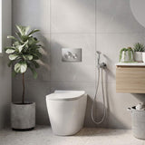 Meir Solid Stainless Steel Bidet Spray with Mixer In-wall Body Included - Various Colours