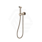 Meir Stainless Steel Bidet Spray with Mixer - Various Colours