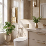 Meir Solid Stainless Steel Bidet Spray with Mixer In-wall Body Included - Various Colours