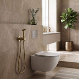 Meir Solid Stainless Steel Bidet Spray with Mixer In-wall Body Included - Various Colours