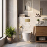 Meir Solid Stainless Steel Bidet Spray with Mixer In-wall Body Included - Various Colours