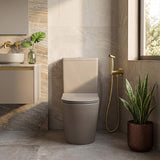 Meir Solid Stainless Steel Bidet Spray with Mixer In-wall Body Included - Various Colours