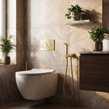 Meir Solid Stainless Steel Bidet Spray with Mixer In-wall Body Included - Various Colours