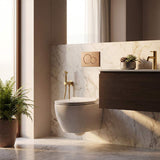 Meir Solid Stainless Steel Bidet Spray with Mixer In-wall Body Included - Various Colours