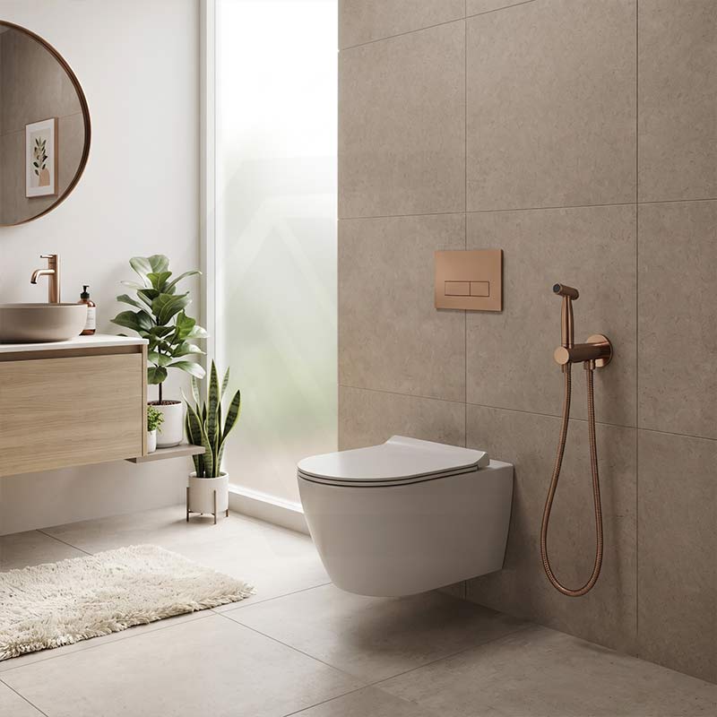 Meir Solid Stainless Steel Bidet Spray with Mixer In-wall Body Included - Various Colours