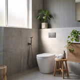 Meir Solid Stainless Steel Bidet Spray with Mixer In-wall Body Included - Various Colours