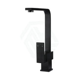 Meir Square Matt Black Solid Brass Kitchen Mixer Tap