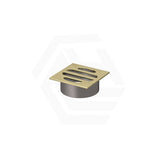 Meir Square Brass Floor Grate Shower Drain 50mm Outlet Variant Colour Available
