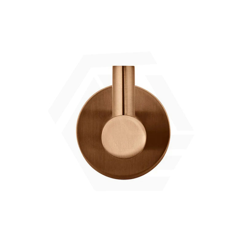 Meir Round Solid Brass Robe Hook Variant Colour Available