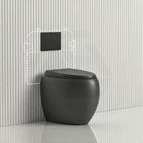 RAK CLOUD Rimless Wall Faced Toilet Pan with R&T Frameless Inwall Concealed Cistern Push Button - Variant Colour