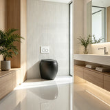 RAK CLOUD Rimless Wall Faced Toilet Pan with R&T Frameless Inwall Concealed Cistern Push Button - Variant Colour