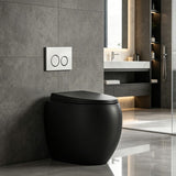 RAK CLOUD Rimless Wall Faced Toilet Pan with R&T Frameless Inwall Concealed Cistern Push Button - Variant Colour
