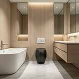 RAK CLOUD Rimless Wall Faced Toilet Pan with R&T Frameless Inwall Concealed Cistern Push Button - Variant Colour