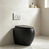 RAK CLOUD Rimless Wall Faced Toilet Pan with R&T Frameless Inwall Concealed Cistern Push Button - Variant Colour