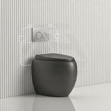 RAK CLOUD Rimless Wall Faced Toilet Pan with R&T Frameless Inwall Concealed Cistern Push Button - Variant Colour
