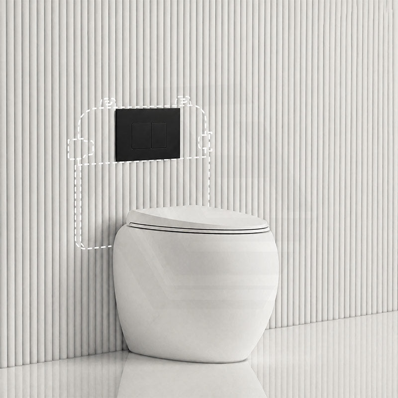 RAK CLOUD Rimless Wall Faced Toilet Pan with R&T Frameless Inwall Concealed Cistern Push Button - Variant Colour