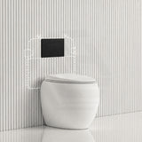 RAK CLOUD Rimless Wall Faced Toilet Pan with R&T Frameless Inwall Concealed Cistern Push Button - Variant Colour