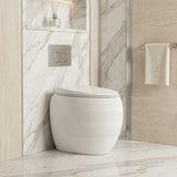 RAK CLOUD Rimless Wall Faced Toilet Pan with R&T Frameless Inwall Concealed Cistern Push Button - Variant Colour
