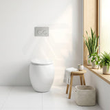 RAK CLOUD Rimless Wall Faced Toilet Pan with R&T Frameless Inwall Concealed Cistern Push Button - Variant Colour
