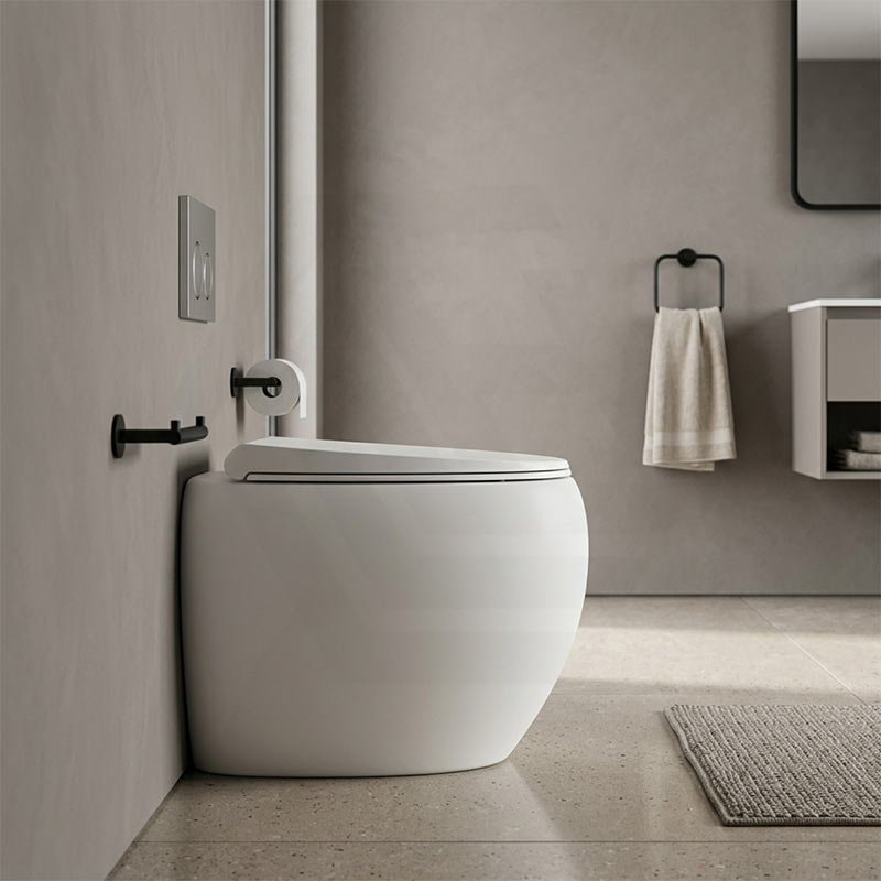 RAK CLOUD Rimless Wall Faced Toilet Pan with R&T Frameless Inwall Concealed Cistern Push Button - Variant Colour