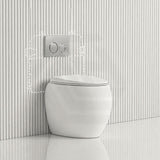 RAK CLOUD Rimless Wall Faced Toilet Pan with R&T Frameless Inwall Concealed Cistern Push Button - Variant Colour