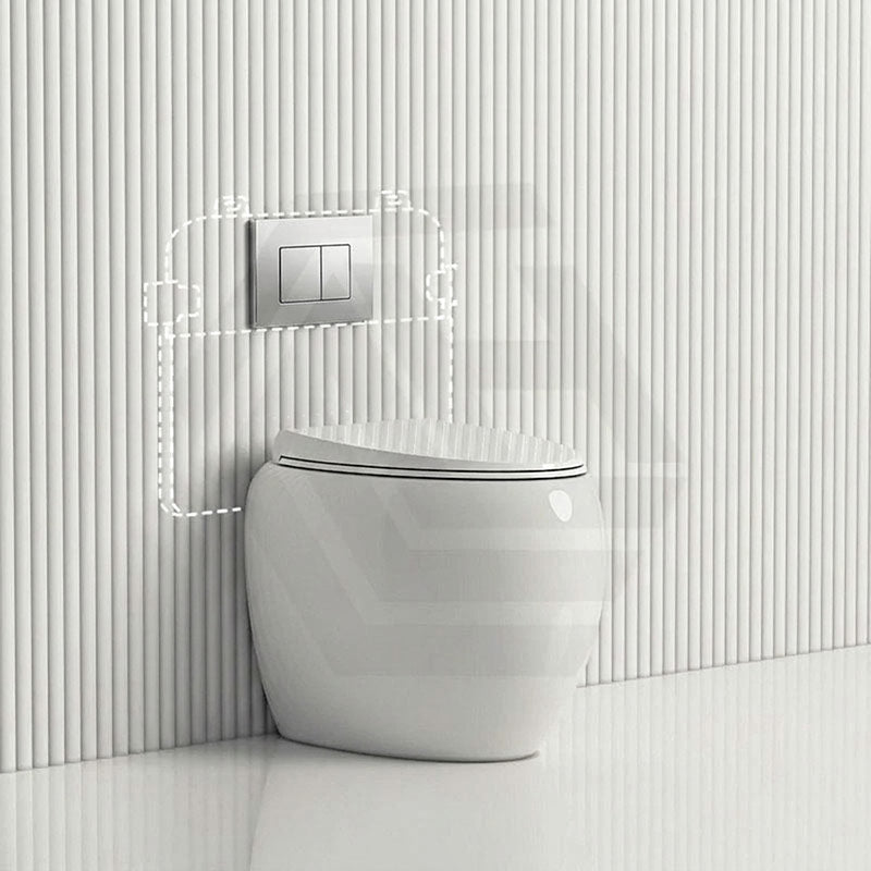 RAK CLOUD Rimless Wall Faced Toilet Pan with R&T Frameless Inwall Concealed Cistern Push Button - Variant Colour