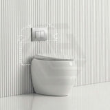 RAK CLOUD Rimless Wall Faced Toilet Pan with R&T Frameless Inwall Concealed Cistern Push Button - Variant Colour