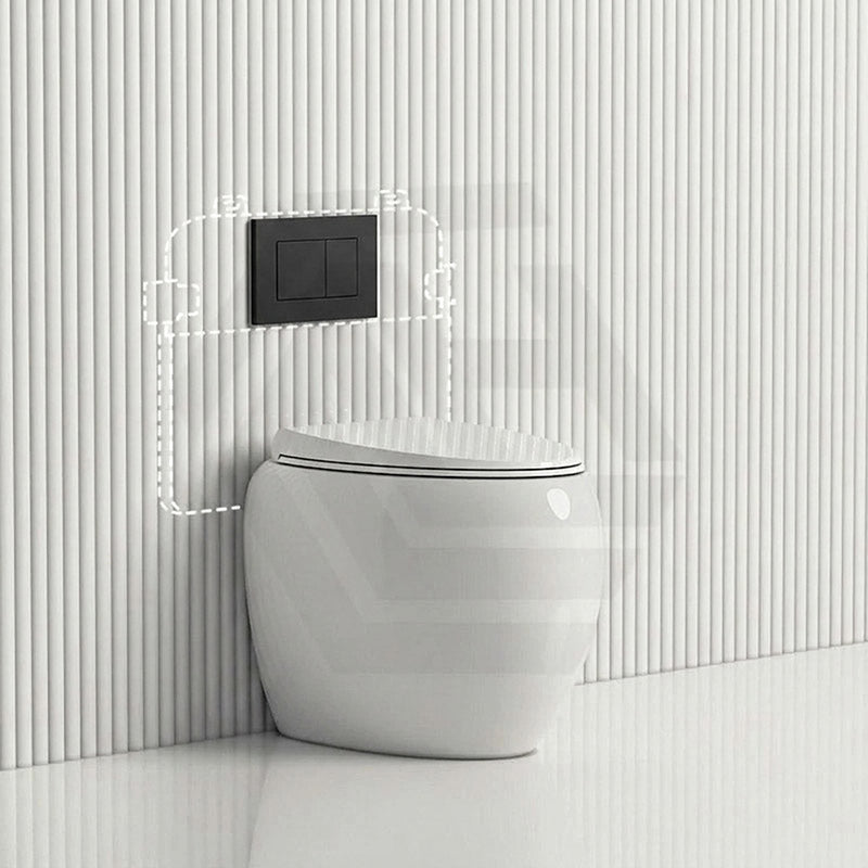 RAK CLOUD Rimless Wall Faced Toilet Pan with R&T Frameless Inwall Concealed Cistern Push Button - Variant Colour