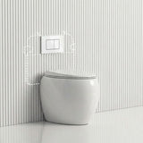RAK CLOUD Rimless Wall Faced Toilet Pan with R&T Frameless Inwall Concealed Cistern Push Button - Variant Colour