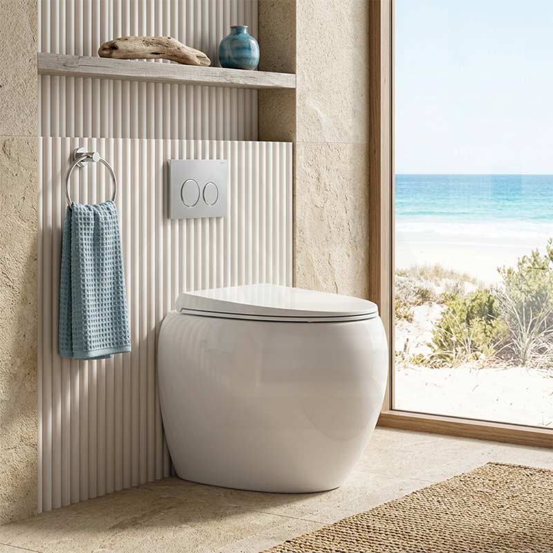 RAK CLOUD Rimless Wall Faced Toilet Pan with R&T Frameless Inwall Concealed Cistern Push Button - Variant Colour