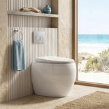RAK CLOUD Rimless Wall Faced Toilet Pan with R&T Frameless Inwall Concealed Cistern Push Button - Variant Colour