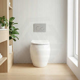 RAK CLOUD Rimless Wall Faced Toilet Pan with R&T Frameless Inwall Concealed Cistern Push Button - Variant Colour