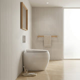 RAK CLOUD Rimless Wall Faced Toilet Pan with R&T Frameless Inwall Concealed Cistern Push Button - Variant Colour